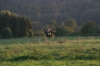 paramoteur_IMG_2621.JPG