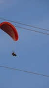 paramoteur_P1080175.JPG