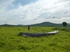 paramoteur_P1030476.JPG