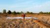 paramoteur_mini-Mekong19.jpg