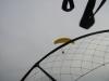 paramoteur_E13_6_3.JPG
